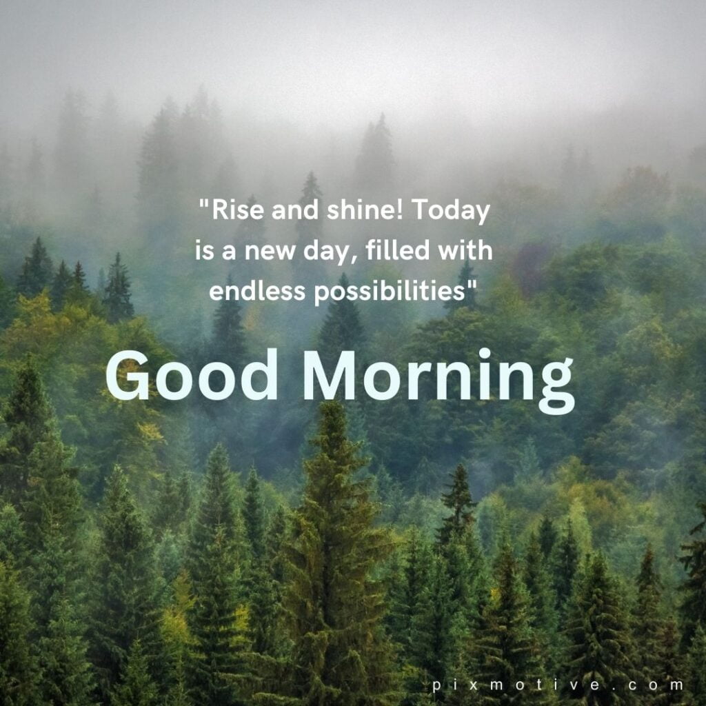 Beautiful foggy forest with quote