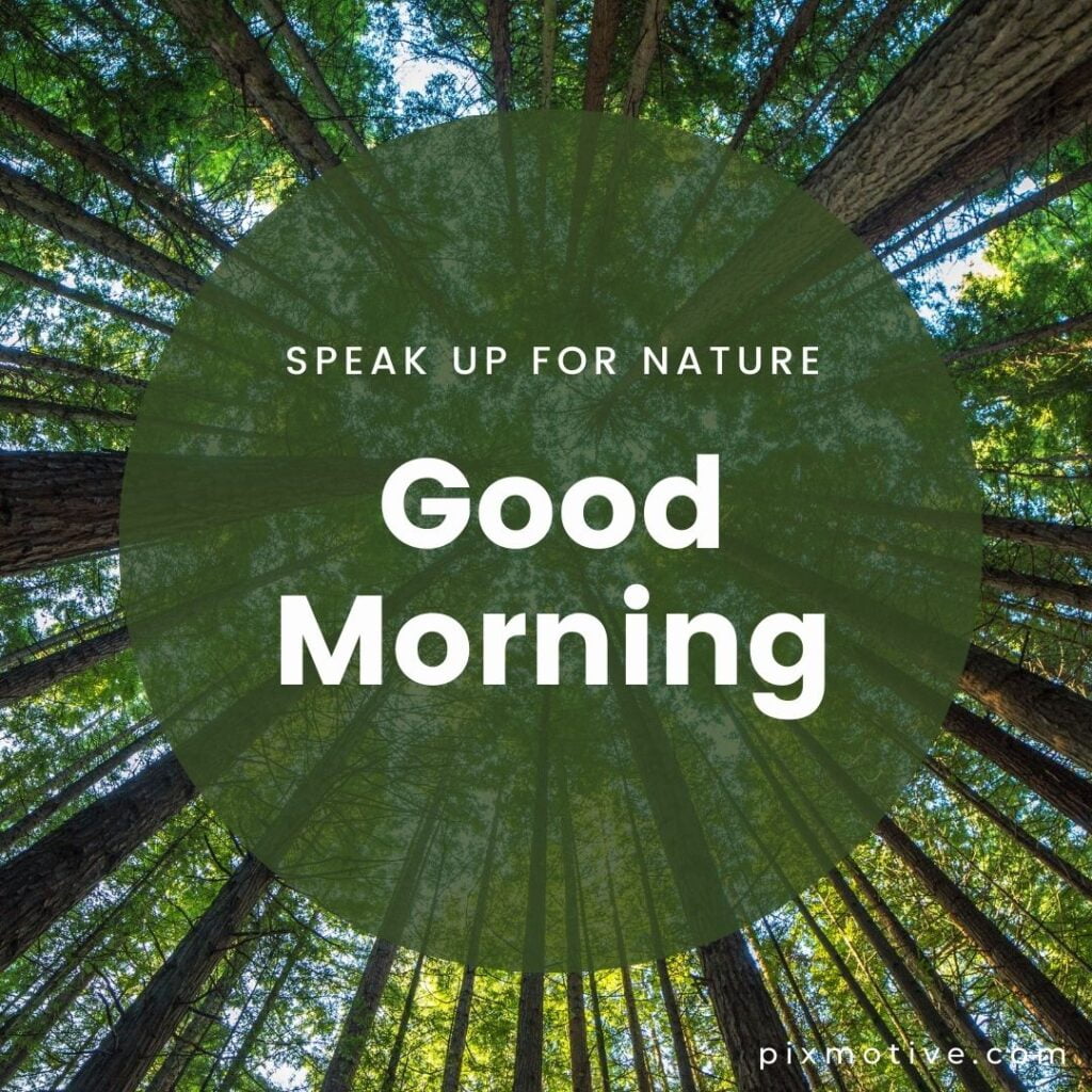 Speak up for nature good morning image