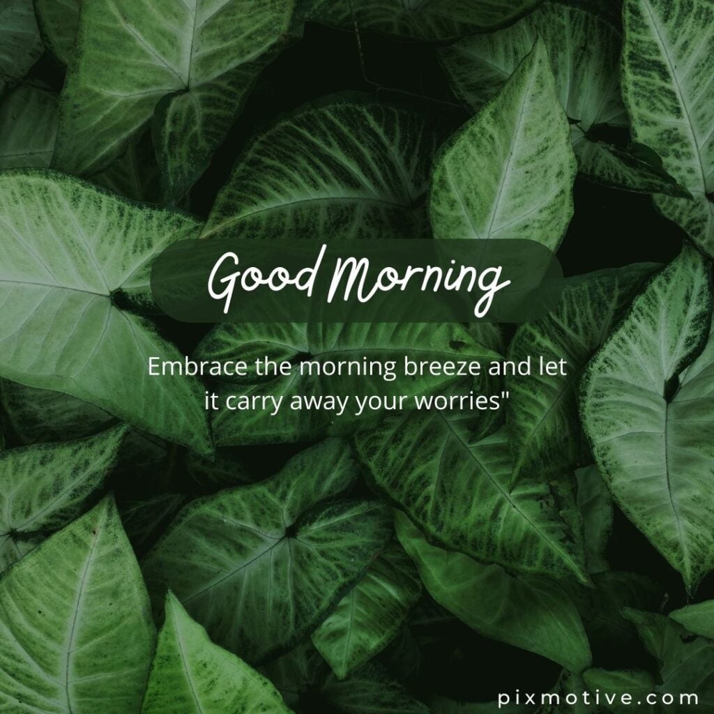 Greenery good morning image with quote