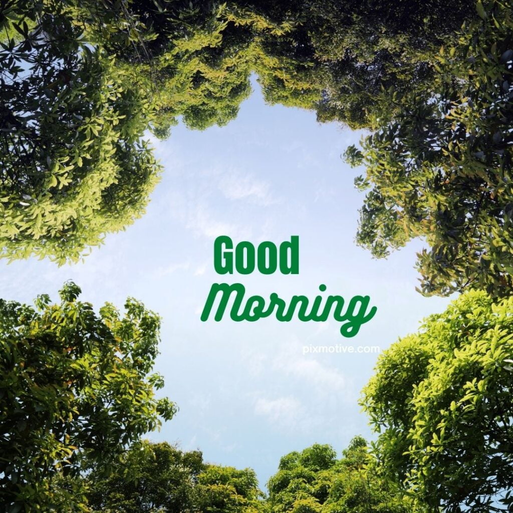 Beautiful good morning image on blue sky surrounded by greenery