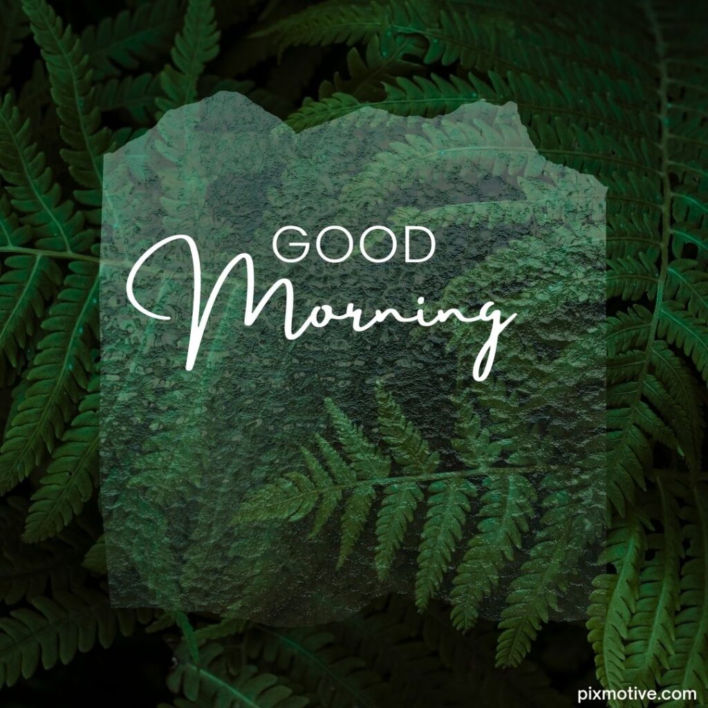 good morning image with greenery