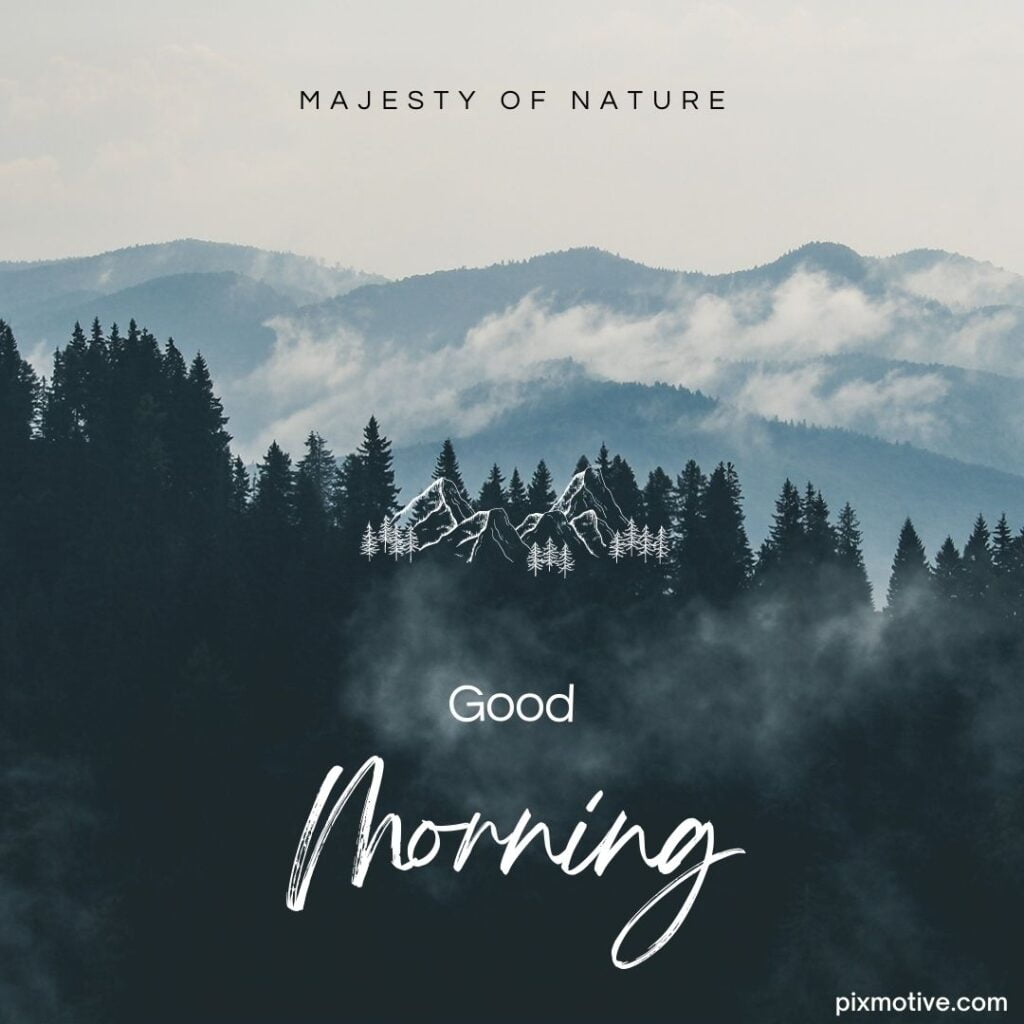 good morning image, Nature, Blue mountains