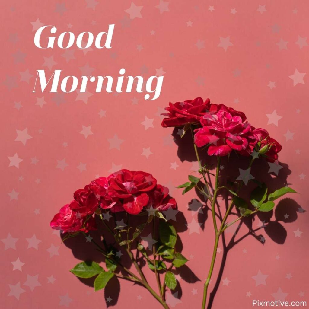 A starry background with roses and a good morning message