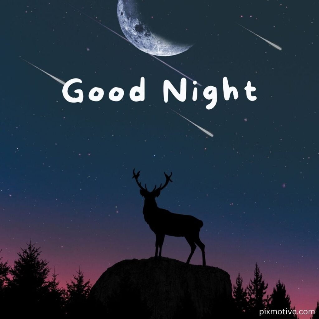 Good night image with reindeer