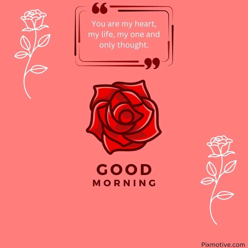 HD rose flower image with quote for mornings