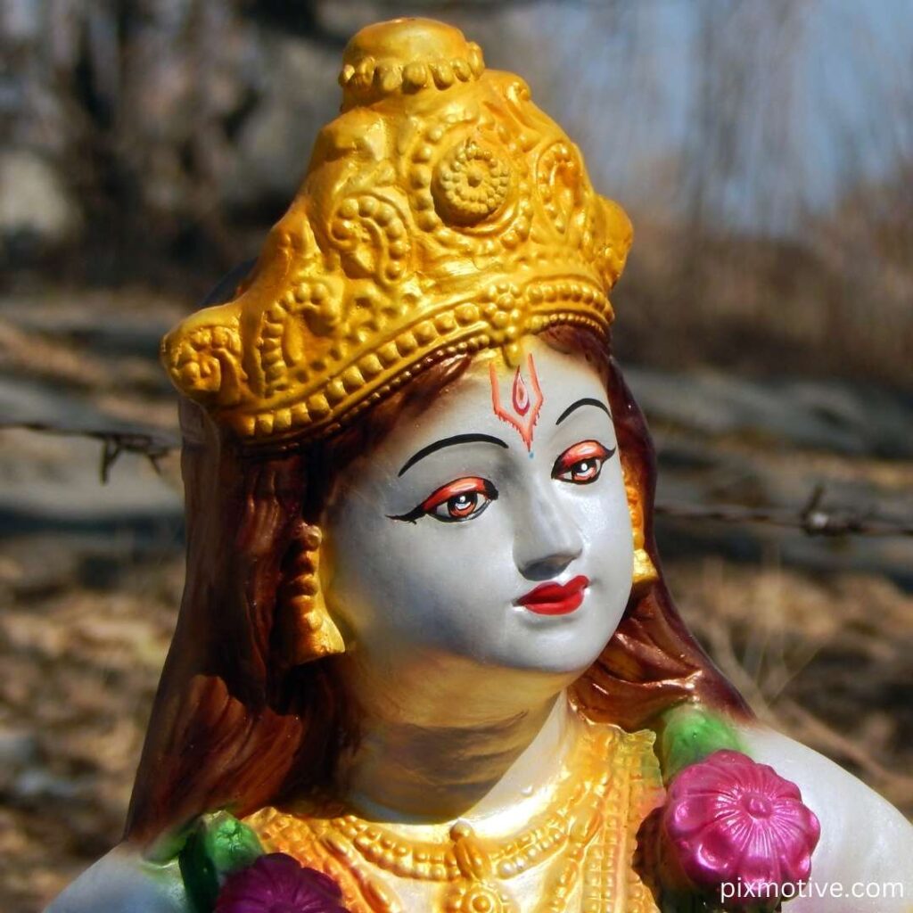 Lord krishna idol image