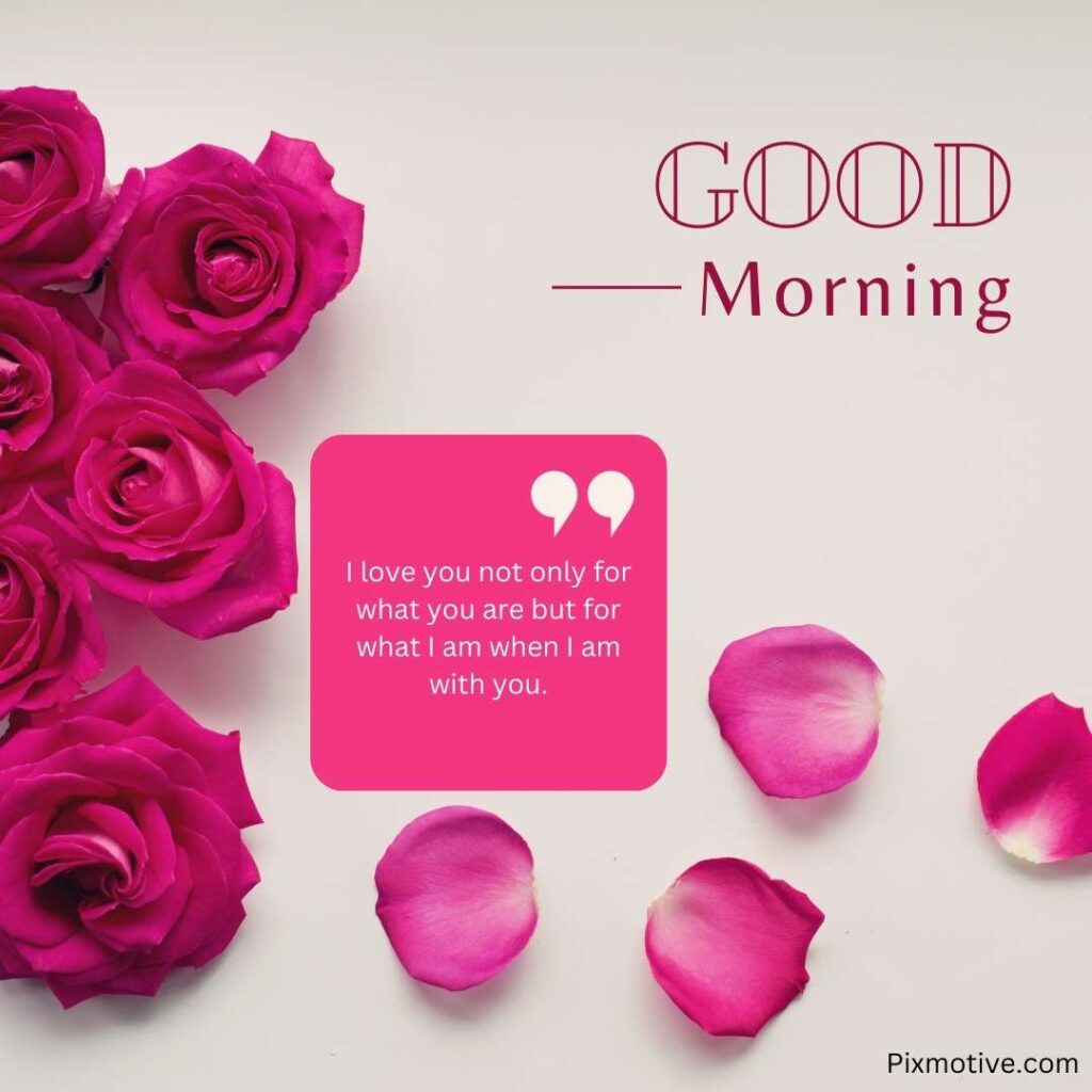 Pink rose good morning wish