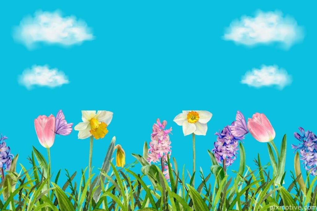 Blue sky with flower blossoms Image background